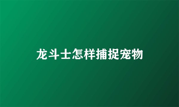 龙斗士怎样捕捉宠物