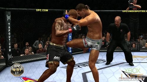 UFC终极格斗冠军赛2010的游戏技巧