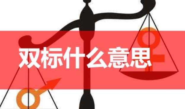 双标是什么意思
