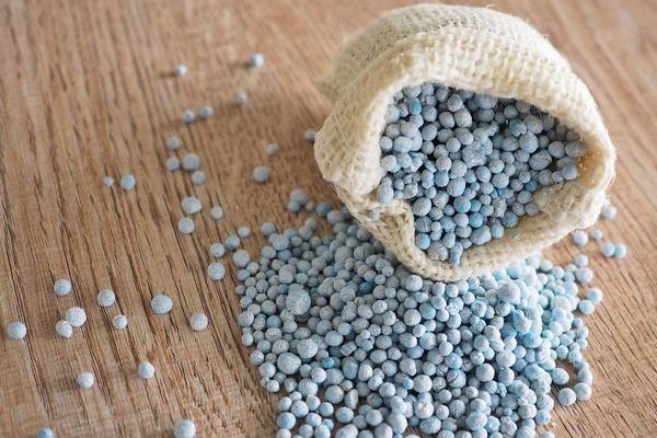 叶面肥排名榜前十名