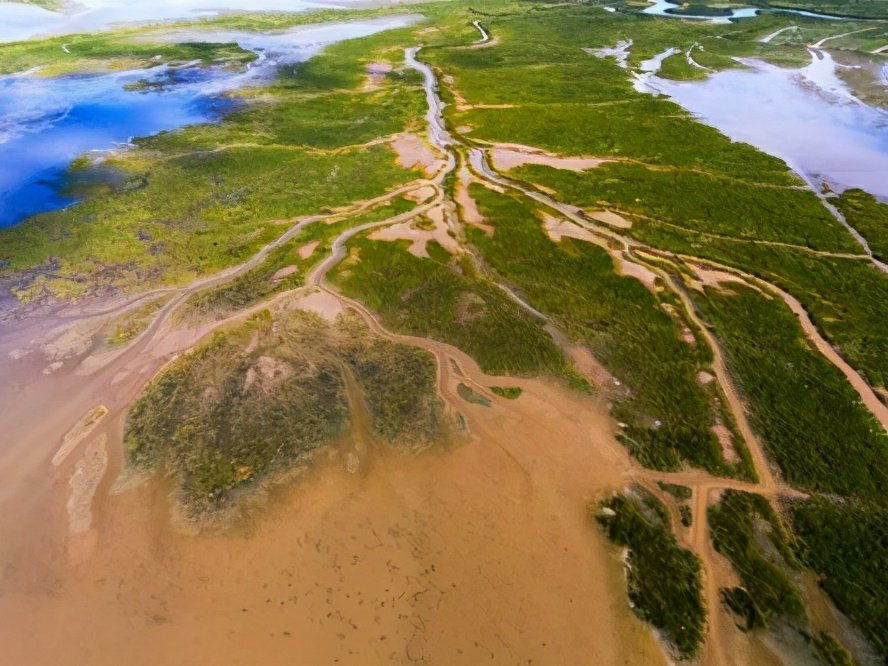 韩国滩涂申遗被联合国退回，是什么原因？