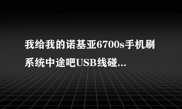 我给我的诺基亚6700s手机刷系统中途吧USB线碰掉了 然后就没有系统了 开不开机了 什么都没有了 怎么办