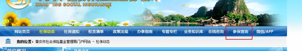 劳动保障个人查询