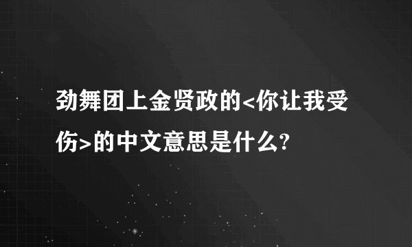 劲舞团上金贤政的<你让我受伤>的中文意思是什么?