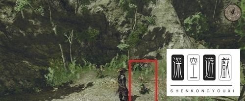 《崛起2:黑暗水域》植物考察完全手册