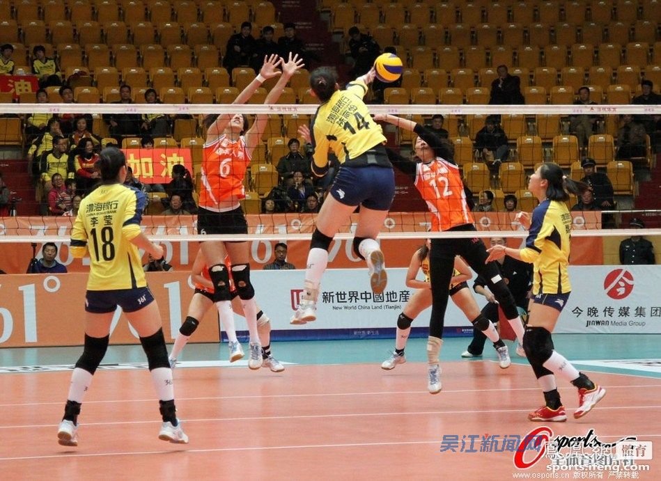 辛丕鸣的性骚扰上海女排事件