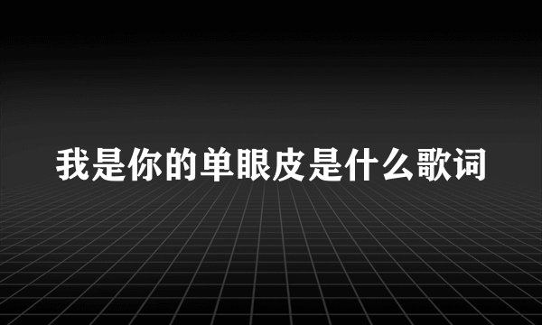 我是你的单眼皮是什么歌词