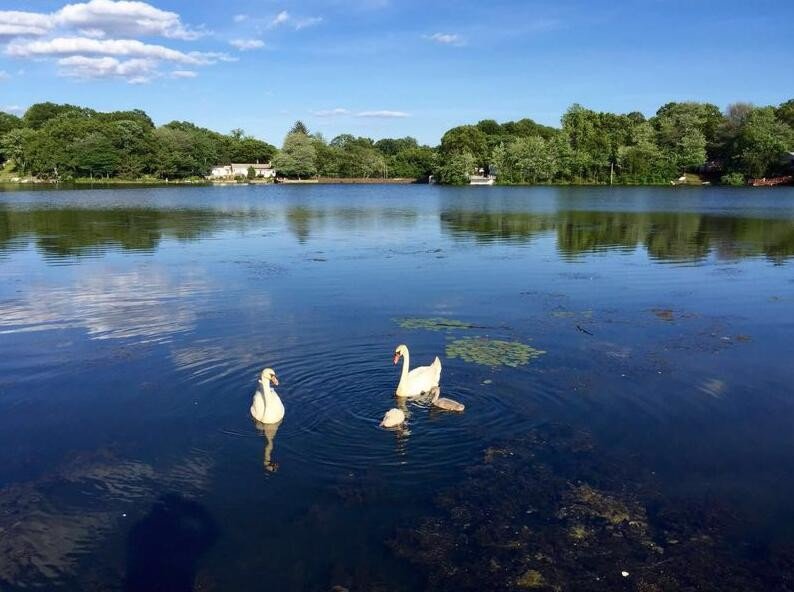 刘德华几个老婆？