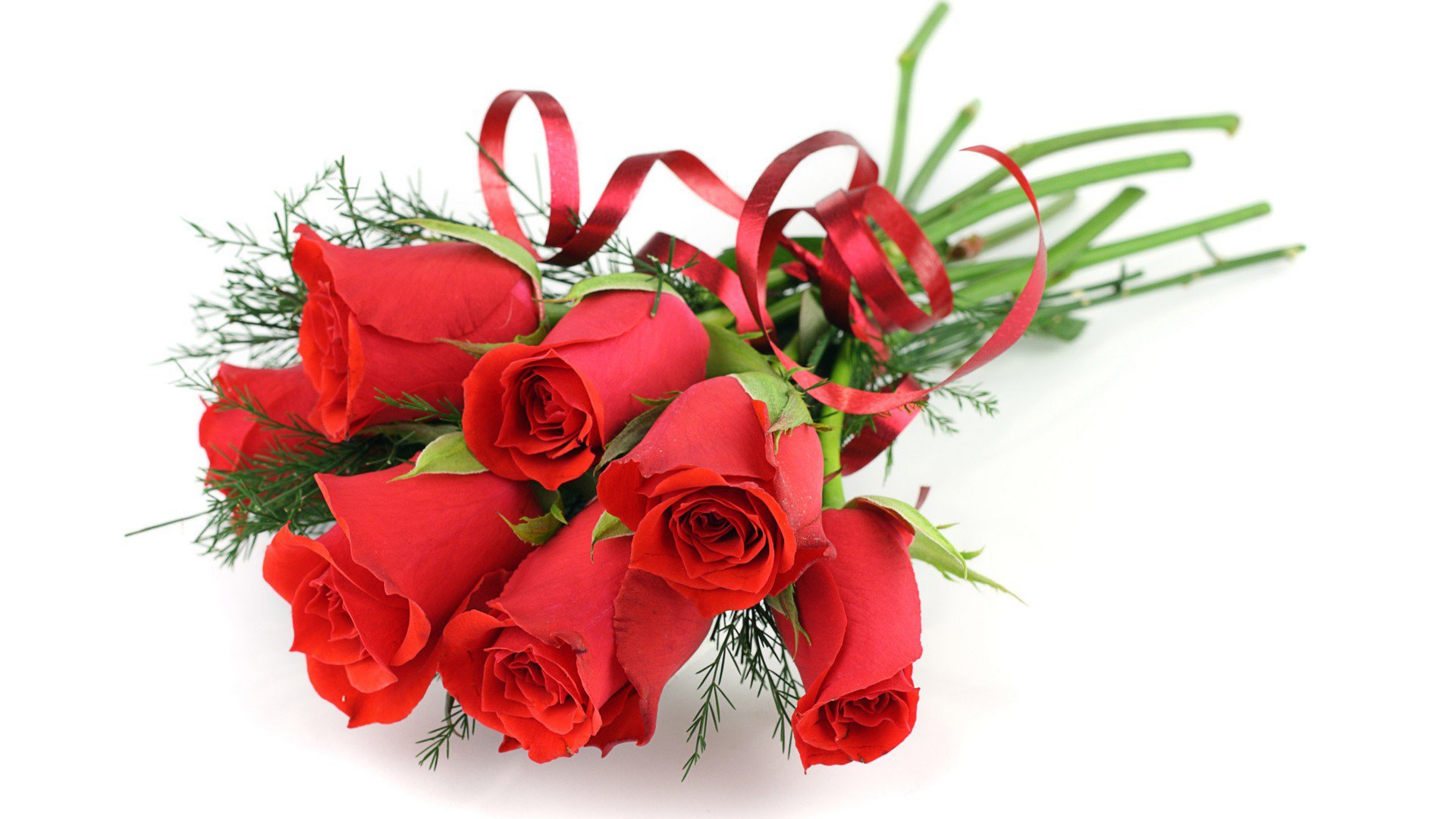 玫瑰支数代表的含义??