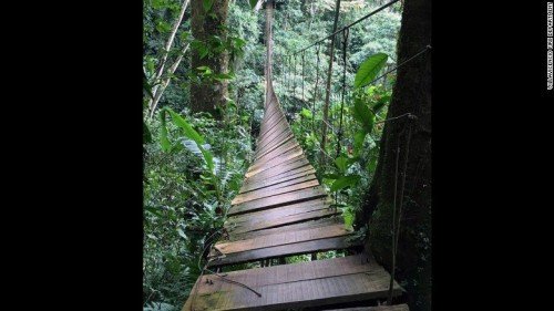 哥伦比亚吊桥垮塌怎么回事？