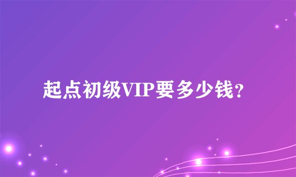 起点初级VIP要多少钱？