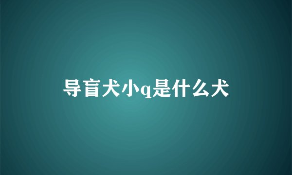 导盲犬小q是什么犬