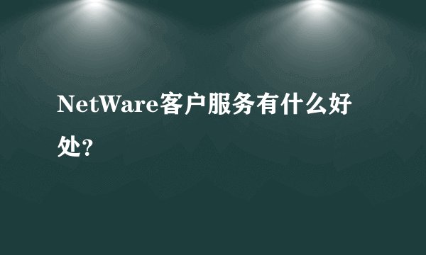 NetWare客户服务有什么好处？