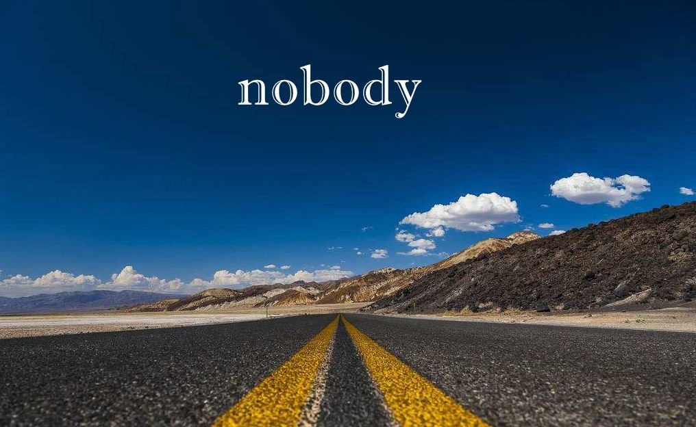 nobody 和 none 的区别