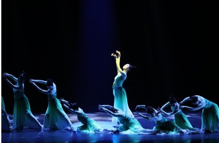 剧目舞蹈独舞桃李杯