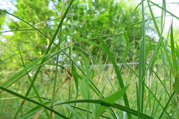 只要锄头挥得好没有墙角挖不倒下一句是什么？