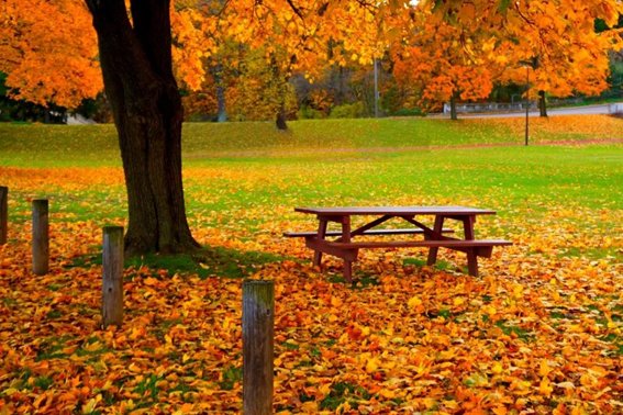 越的拼音和组词和部首