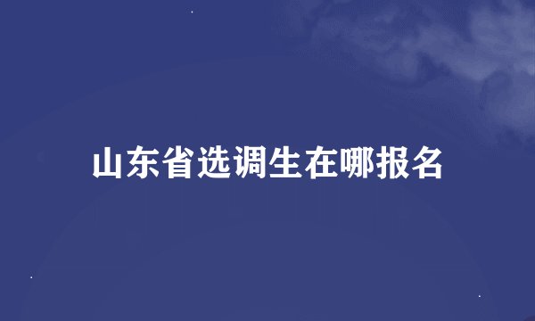 山东省选调生在哪报名