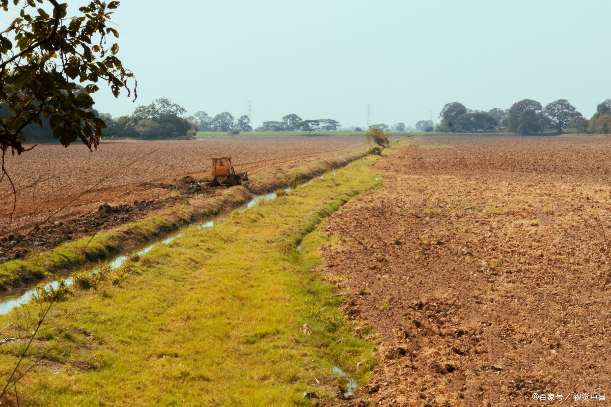 爱拼才会赢电视剧剧情介绍