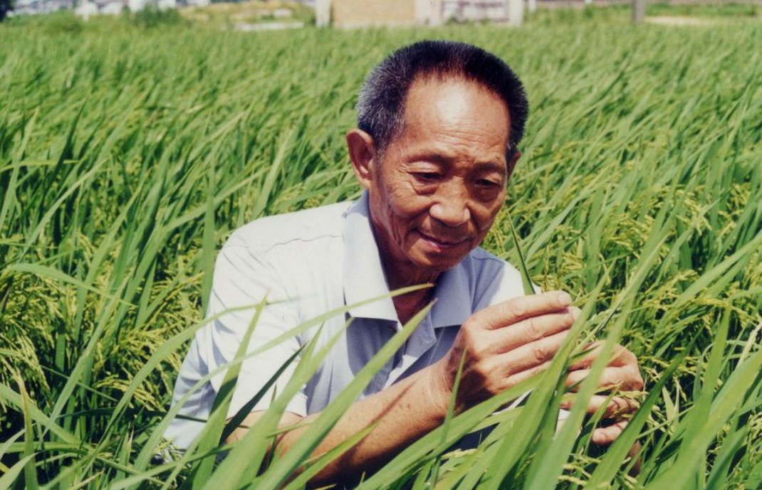袁隆平雕像前布满花海，袁老究竟多受爱戴？