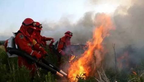 蒙古国草原大火蔓延至中国境内,导致这场火灾的原因是什么?