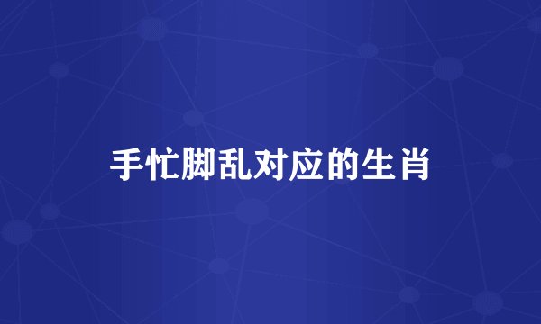 手忙脚乱对应的生肖