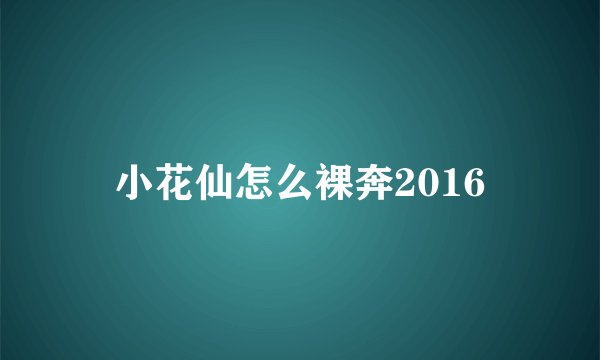 小花仙怎么裸奔2016