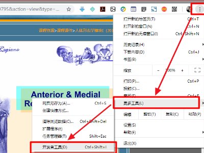 网页视频怎么下载到电脑上？