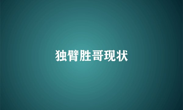 独臂胜哥现状