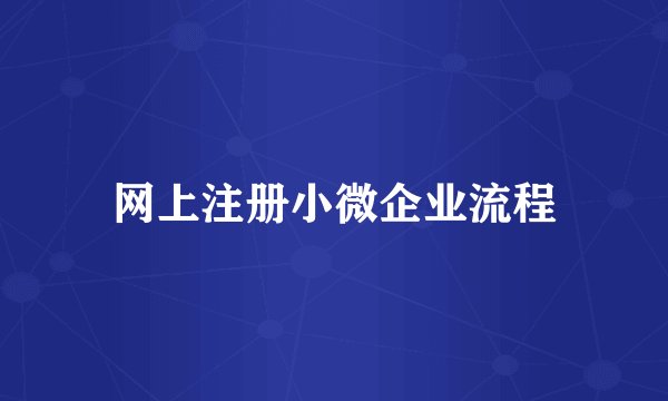 网上注册小微企业流程