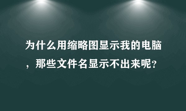 为什么用缩略图显示我的电脑，那些文件名显示不出来呢？