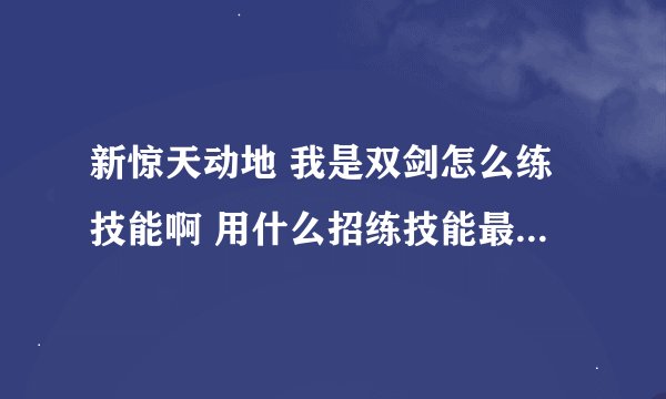 新惊天动地 我是双剑怎么练技能啊 用什么招练技能最快啊！！！！