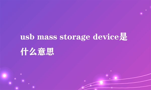usb mass storage device是什么意思