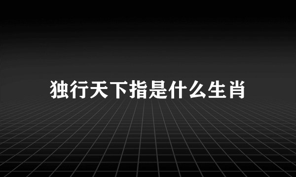 独行天下指是什么生肖