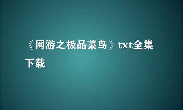 《网游之极品菜鸟》txt全集下载