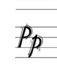 大写字母p半圆占什么格