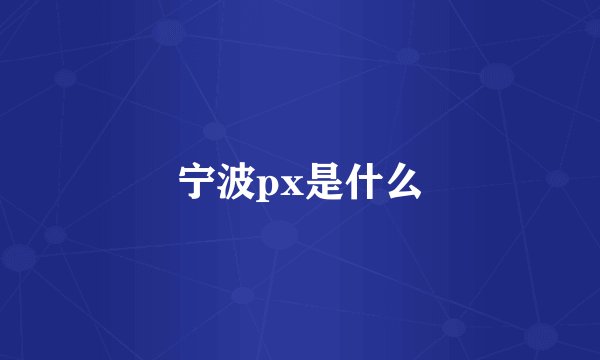 宁波px是什么