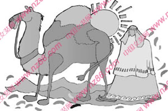 还有一个的介绍