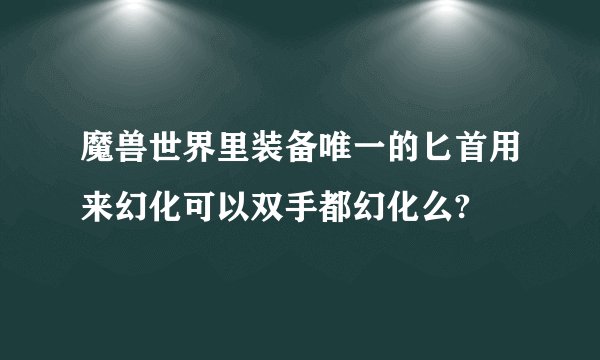 魔兽世界里装备唯一的匕首用来幻化可以双手都幻化么?