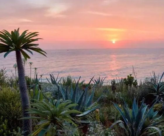 越发造句子二年级上册