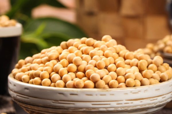 腊月初一吃什么最好