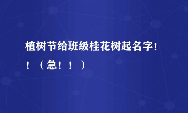 植树节给班级桂花树起名字！！（急！！）