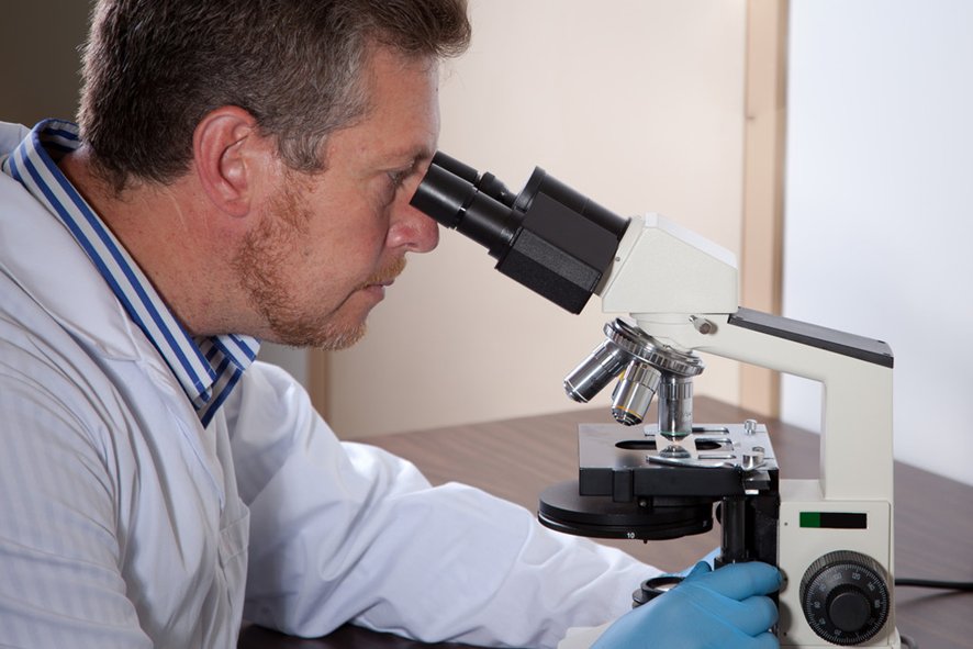 微组词拼音部首音序