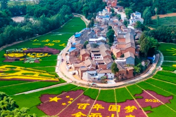 小康人家比喻什么动物