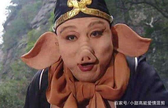 是什么样的原因导致了猪八戒投胎之后变成了一只猪？