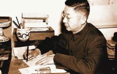 《兔》讲的什么？