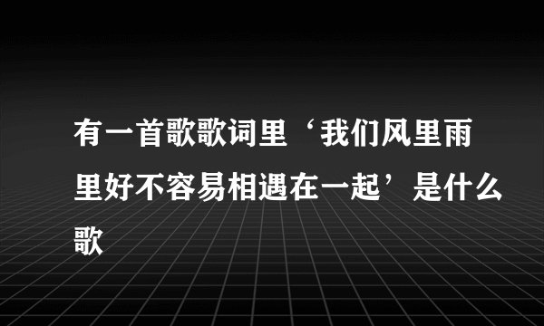 有一首歌歌词里‘我们风里雨里好不容易相遇在一起’是什么歌