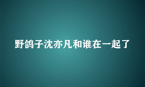 野鸽子沈亦凡和谁在一起了