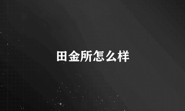田金所怎么样