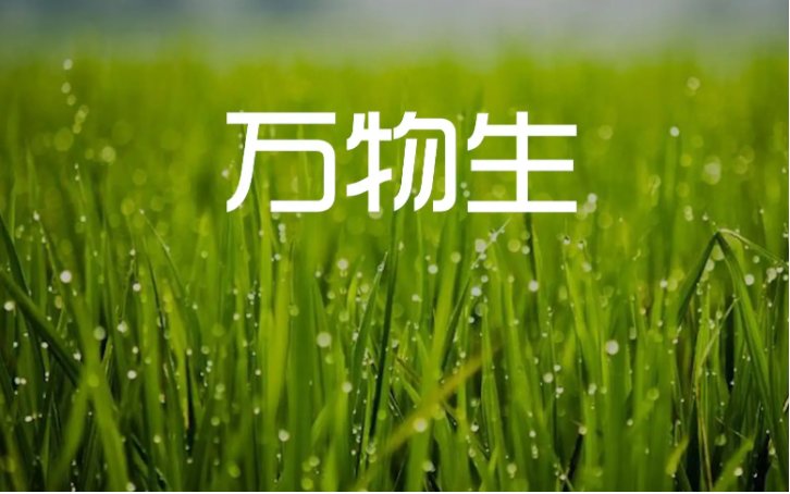 高晓松解释《万物生》歌词内涵是什么？